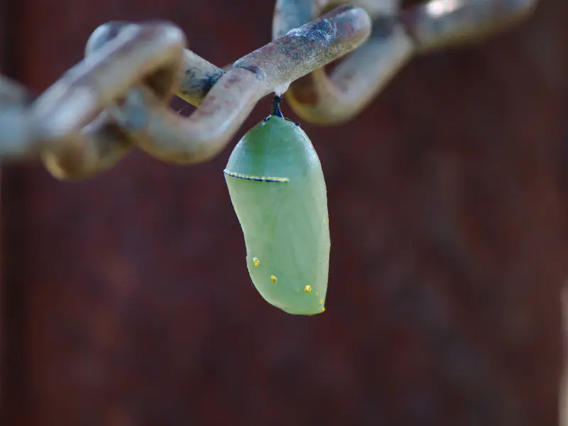 image de l'article : FAQ de la transformation d'entreprise