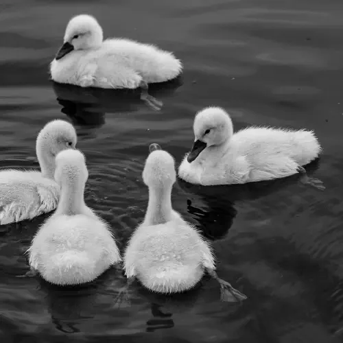 image de l'article : Agilité en famille : Rétrospective