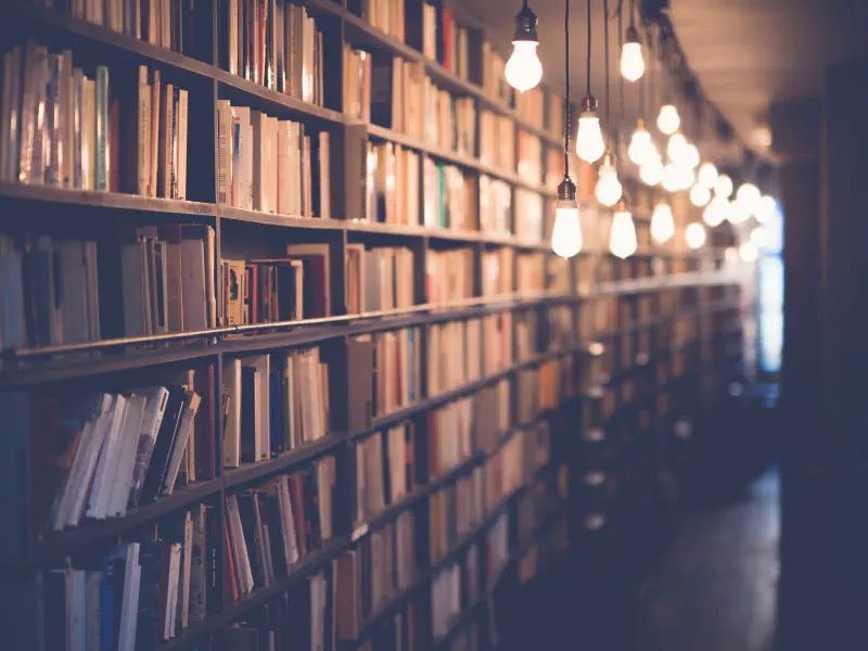 image de l'article : La bibliothèque idéale 3