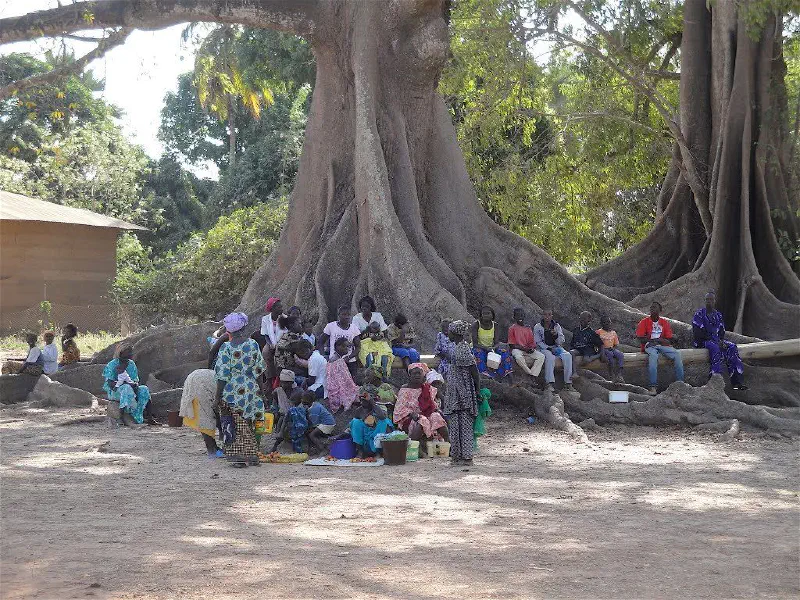 image de l'article : De l’arbre à palabre au télétravail